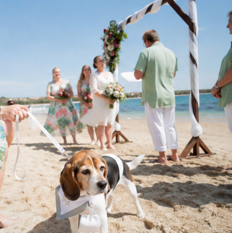 Following Bliss Photography